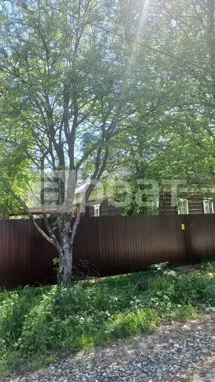Дом в Костромская область, Шарья ул. Радищева, 10 (40 м) - Фото 2