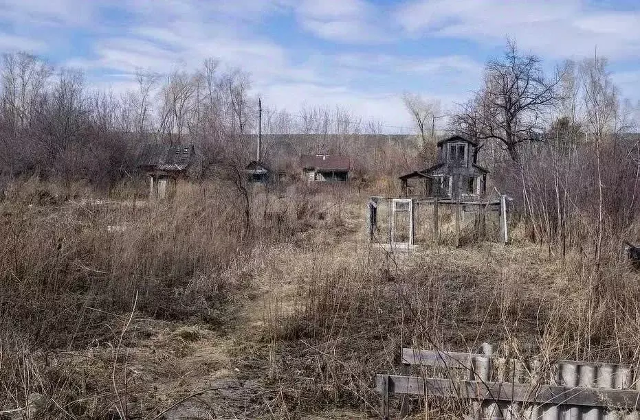Участок в Ленинградская область, Лодейнопольский район, Янегское ... - Фото 1