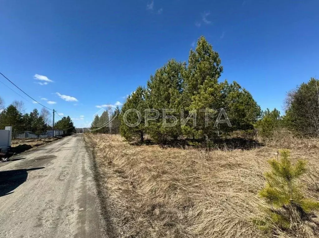 Участок в Тюменская область, Нижнетавдинский район, Березка СНТ 117 ... - Фото 1