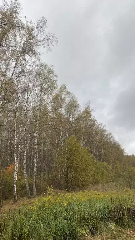 Участок в Московская область, Чехов городской округ, д. Слепушкино  ... - Фото 1