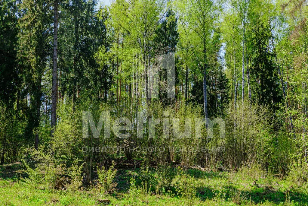 Продается участок в КП Шато Соверен - Фото 2