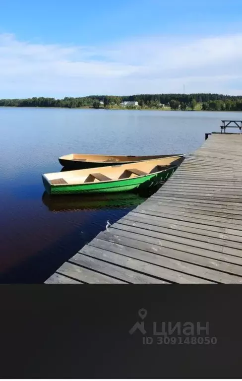 Участок в Ленинградская область, Выборгский район, Рощинское городское ... - Фото 0