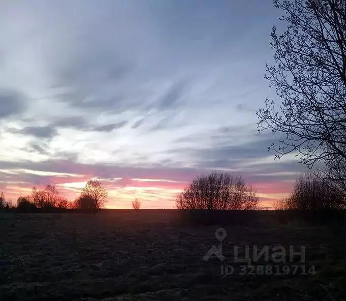 Дом в Московская область, Шаховская муниципальный округ, д. Куркино  ... - Фото 1