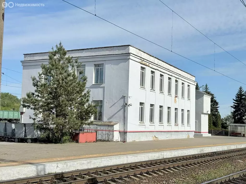Помещение свободного назначения (493.7 м) - Фото 0