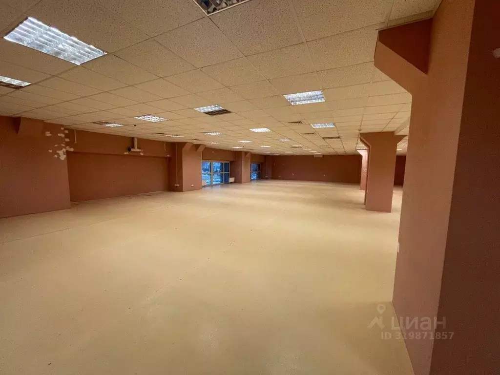 Офис в Санкт-Петербург пл. Конституции, 1 (500 м) - Фото 0