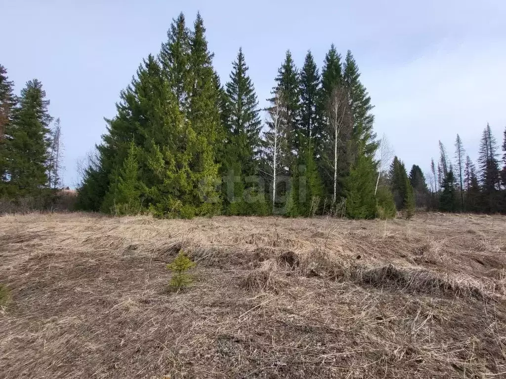 Участок в Удмуртия, Завьяловский район, ТСН Красная Горка тер. ул. ... - Фото 1