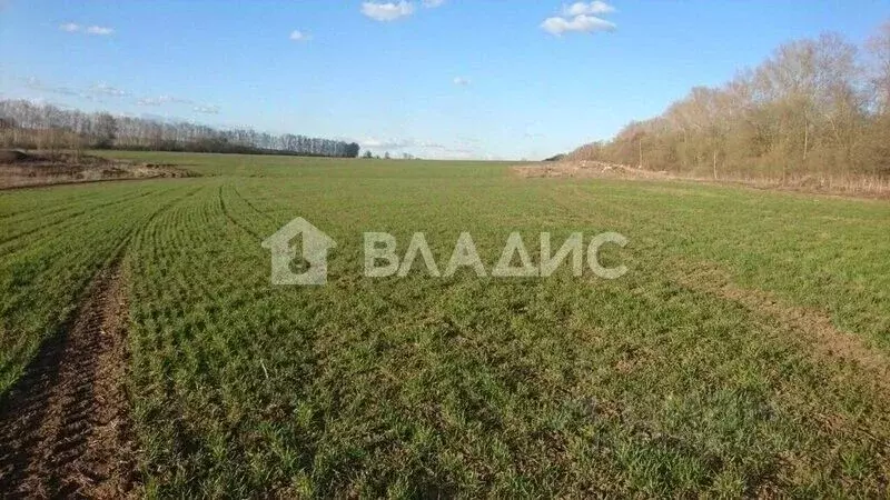 Участок в Калининградская область, Полесский муниципальный округ, пос. ... - Фото 1