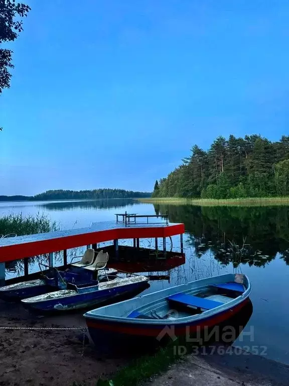 Дом в Тверская область, Осташковский муниципальный округ, д. Заборки 1 ... - Фото 1