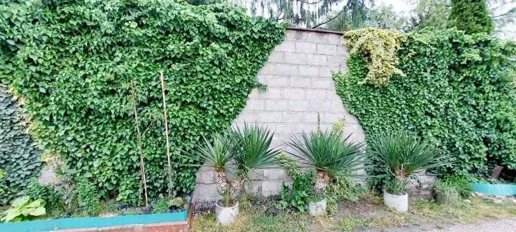 Дом в Крым, Симферополь ул. Чехова, 78 (90 м) - Фото 0
