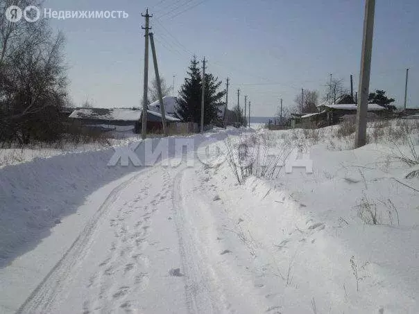 Участок в Ордынский район, деревня Абрашино, Береговая улица (11.37 м) - Фото 2