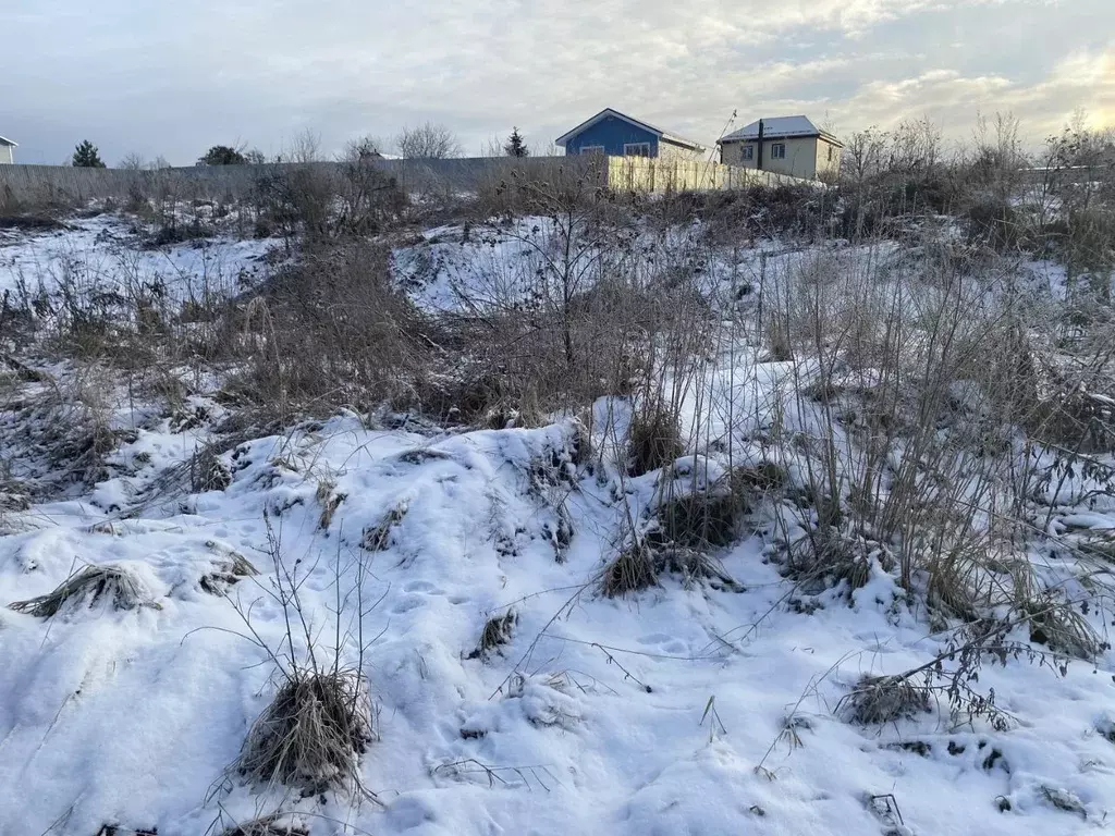 Участок в Московская область, Пушкинский городской округ, д. Раково  ... - Фото 1