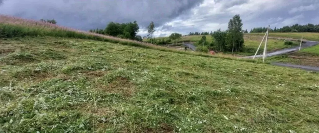 Участок в Ленинградская область, Всеволожский район, Лесколовское ... - Фото 0