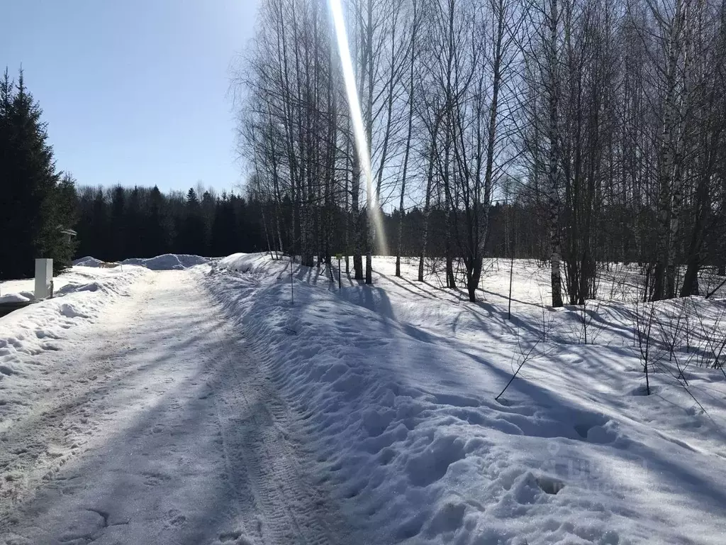 Участок в Московская область, Дмитровский городской округ, Дмитровское ... - Фото 1