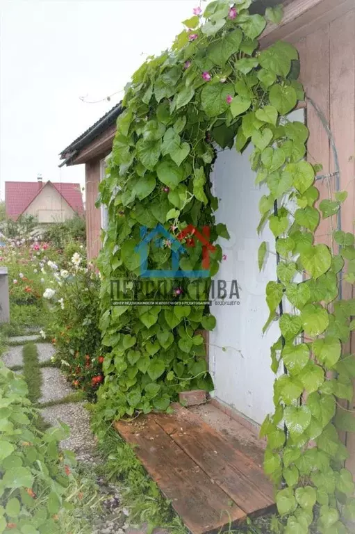 Дача 25м на участке 5сот. - Фото 1