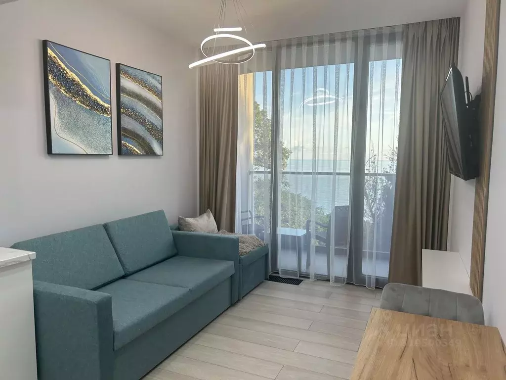 1-к кв. Краснодарский край, Сочи Аше мкр, ул. Туристская, 1 (23.0 м) - Фото 1
