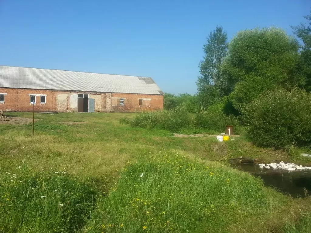 Помещение свободного назначения в Белгородская область, Борисовский ... - Фото 1