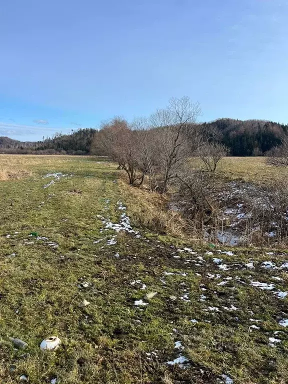Участок в Сахалинская область, Холмский городской округ, с. ... - Фото 1