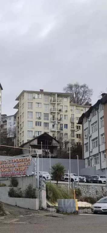 1-к кв. Краснодарский край, Сочи Виноградная ул., 224/6 (28.0 м) - Фото 0