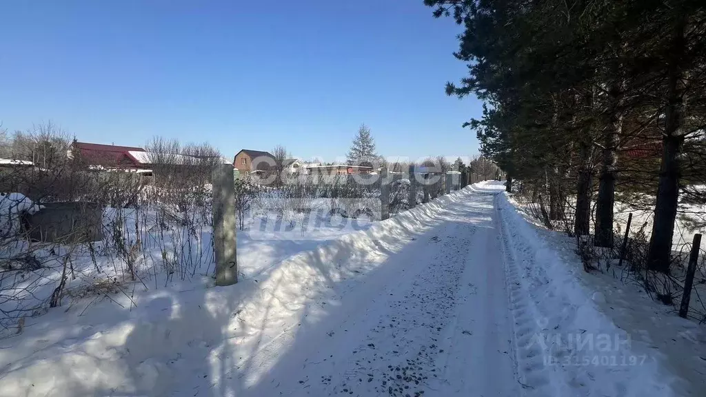 Участок в Тюменская область, Тюменский район, Нива СНТ ул. Урожайная, ... - Фото 1