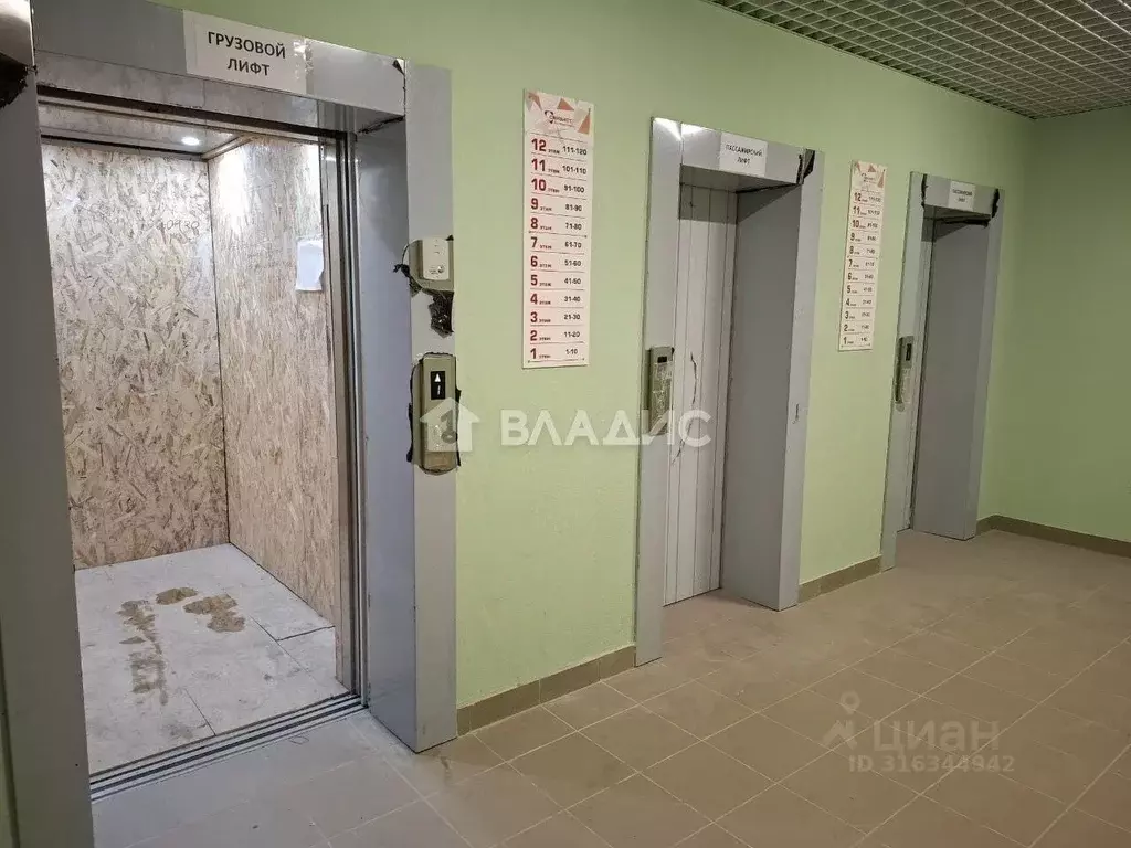Студия Нижегородская область, Кстовский муниципальный округ, д. ... - Фото 0