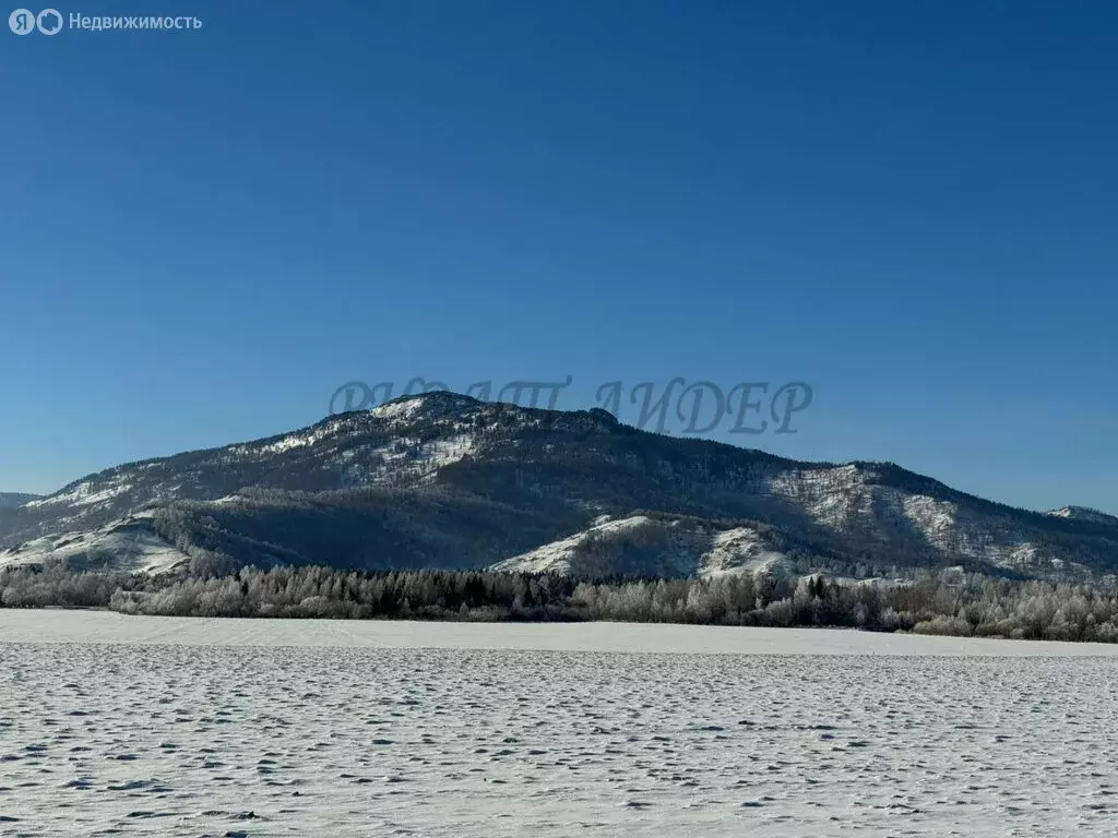 Участок в Усть-Коксинский район, село Курдюм (54 м) - Фото 1