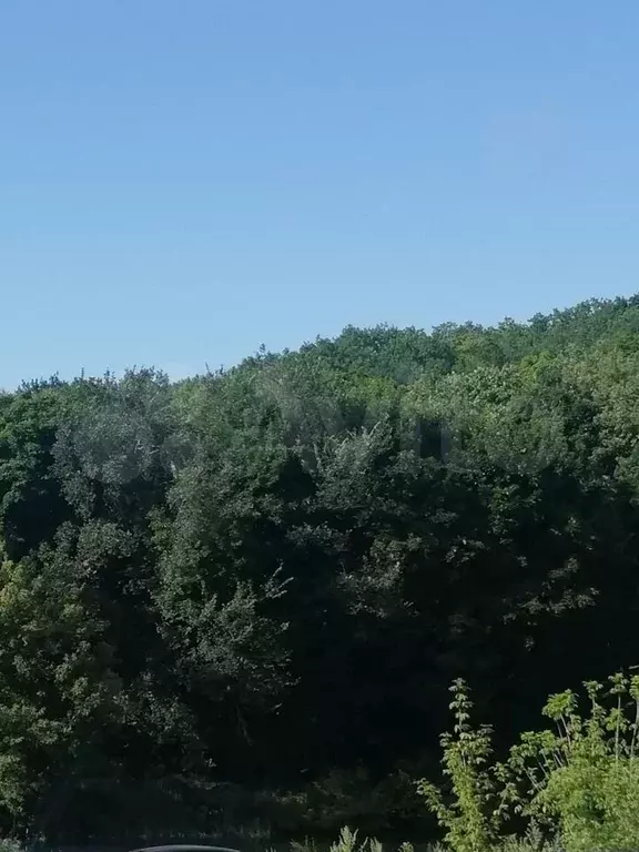 Комната 12 м в 3-к, 4/4 эт. - Фото 0