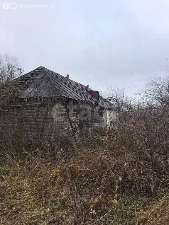 Дом в муниципальное образование Малаховское, деревня Костино (38.7 м) - Фото 1