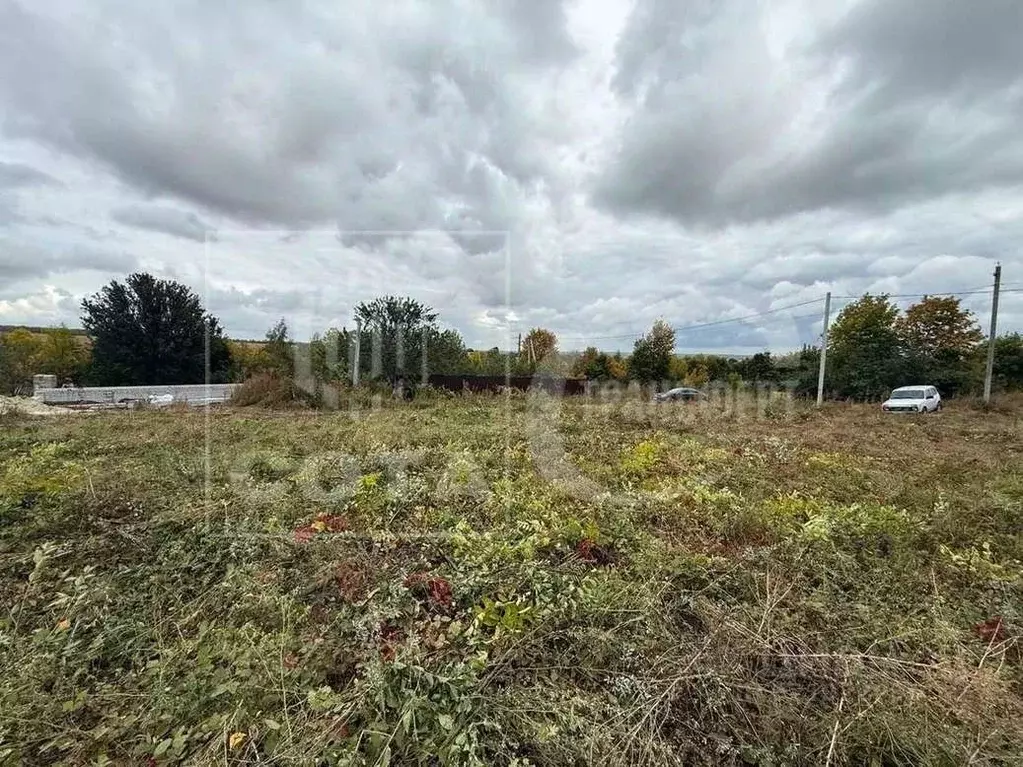 Участок в Воронежская область, Рамонский район, Новоживотинновское ... - Фото 2