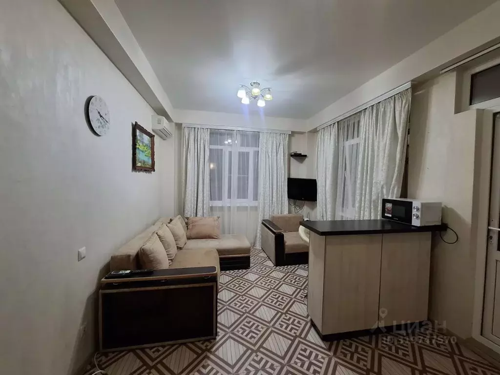 Студия Краснодарский край, Сочи Мамайка мкр, ул. Загородная, 20 (25.0 ... - Фото 1