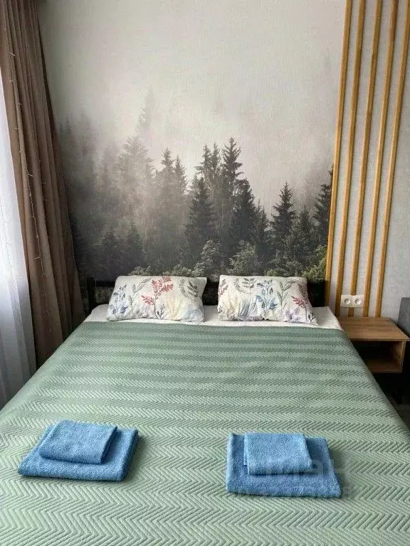 1-к кв. Мурманская область, Кировск Ленинградская ул., 18 (30.0 м) - Фото 1