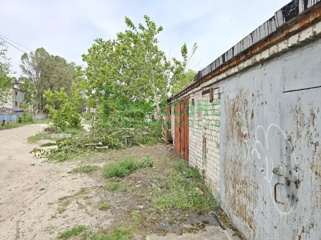 Гараж в Брянская область, Брянск ул. Богдана Хмельницкого (24 м) - Фото 0