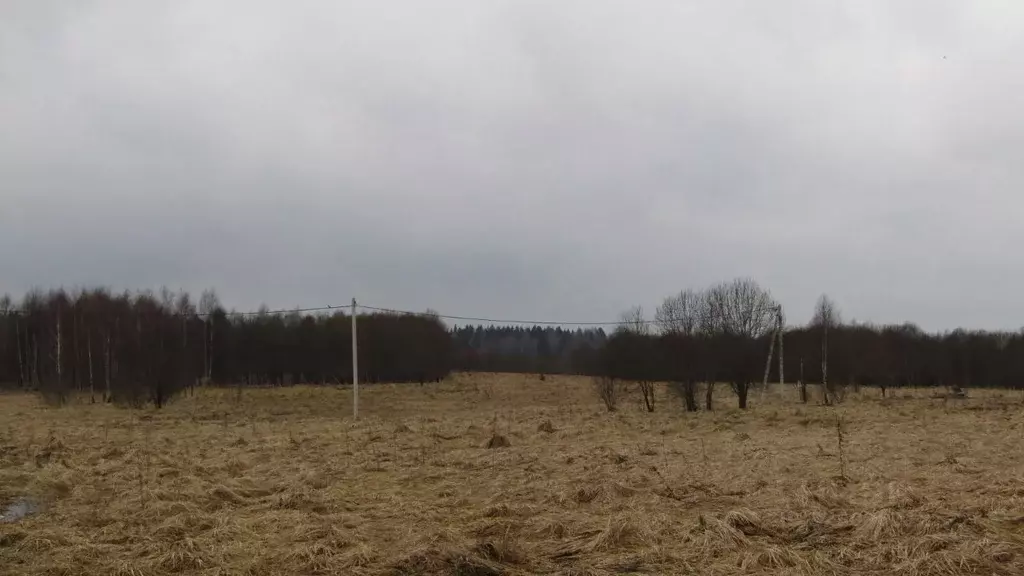 Участок в Московская область, Рузский муниципальный округ, д. ... - Фото 1