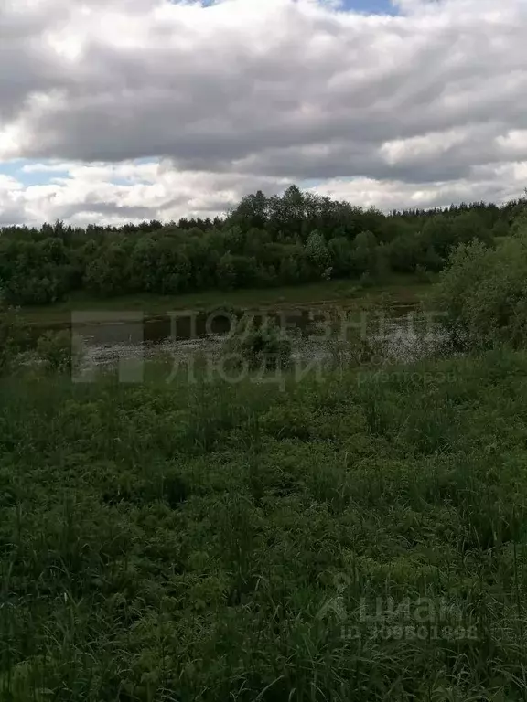 Участок в Новгородская область, Маловишерский район, Бургинское с/пос, ... - Фото 1