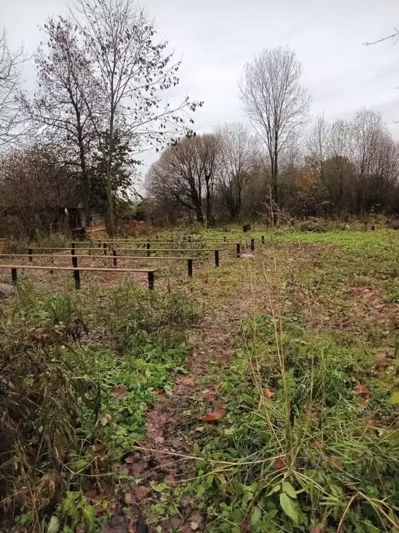 участок в новгородская область, малая вишера ул. лермонтова (19.0 . - Фото 0