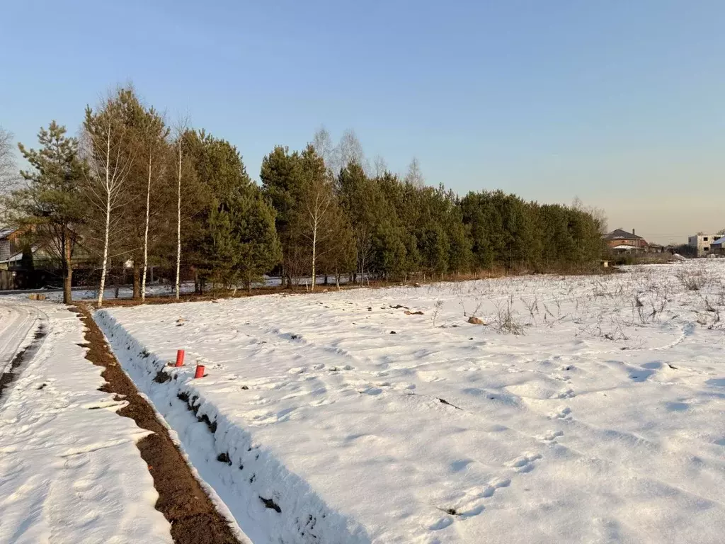 Участок в Московская область, Пушкинский городской округ, с. ... - Фото 2