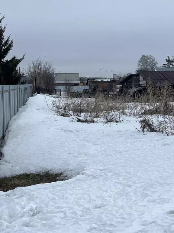 Участок в Новосибирская область, Новосибирский район, Мичуринский ... - Фото 1