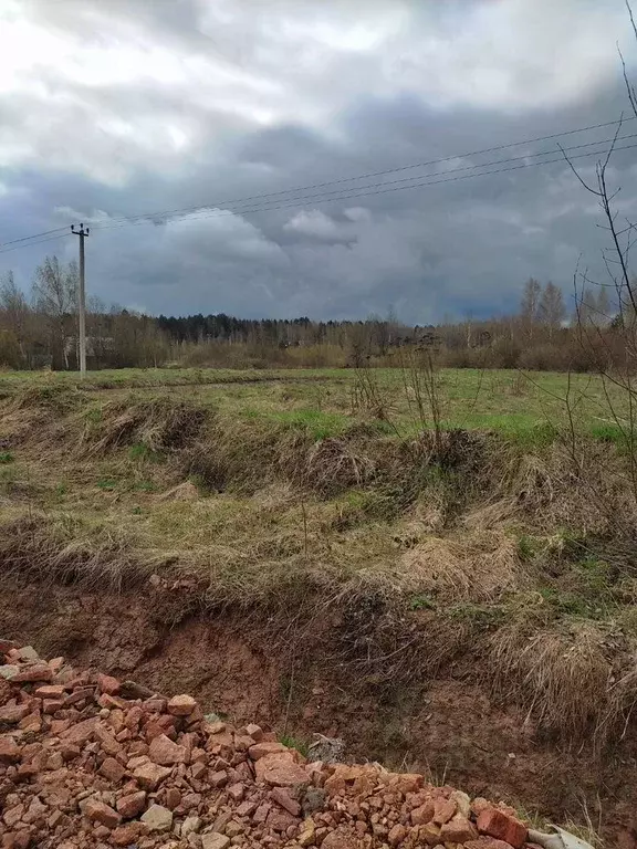 Участок в Новгородская область, Новгородский район, Савинское с/пос, ... - Фото 1