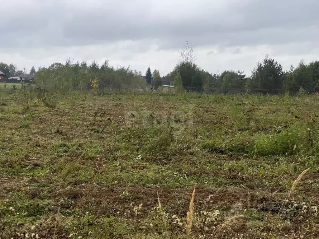 Участок в Калужская область, Боровский муниципальный округ, Кривское ... - Фото 2