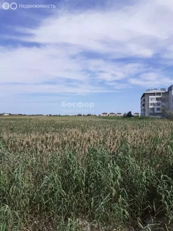 Участок в Феодосия, улица Высоцкого, 19 (6 м) - Фото 2