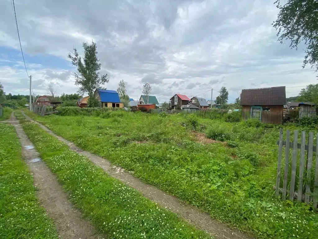 Участок в Новосибирская область, Новосибирский район, Каменский ... - Фото 1
