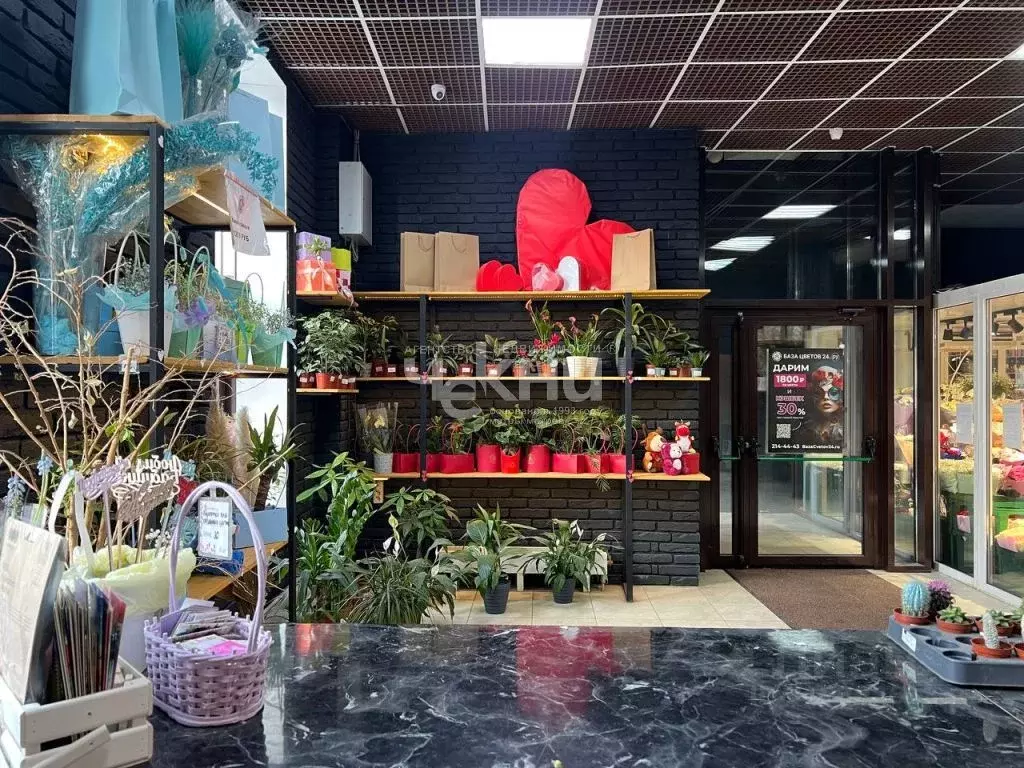 Торговая площадь в Нижегородская область, Нижний Новгород ул. ... - Фото 1