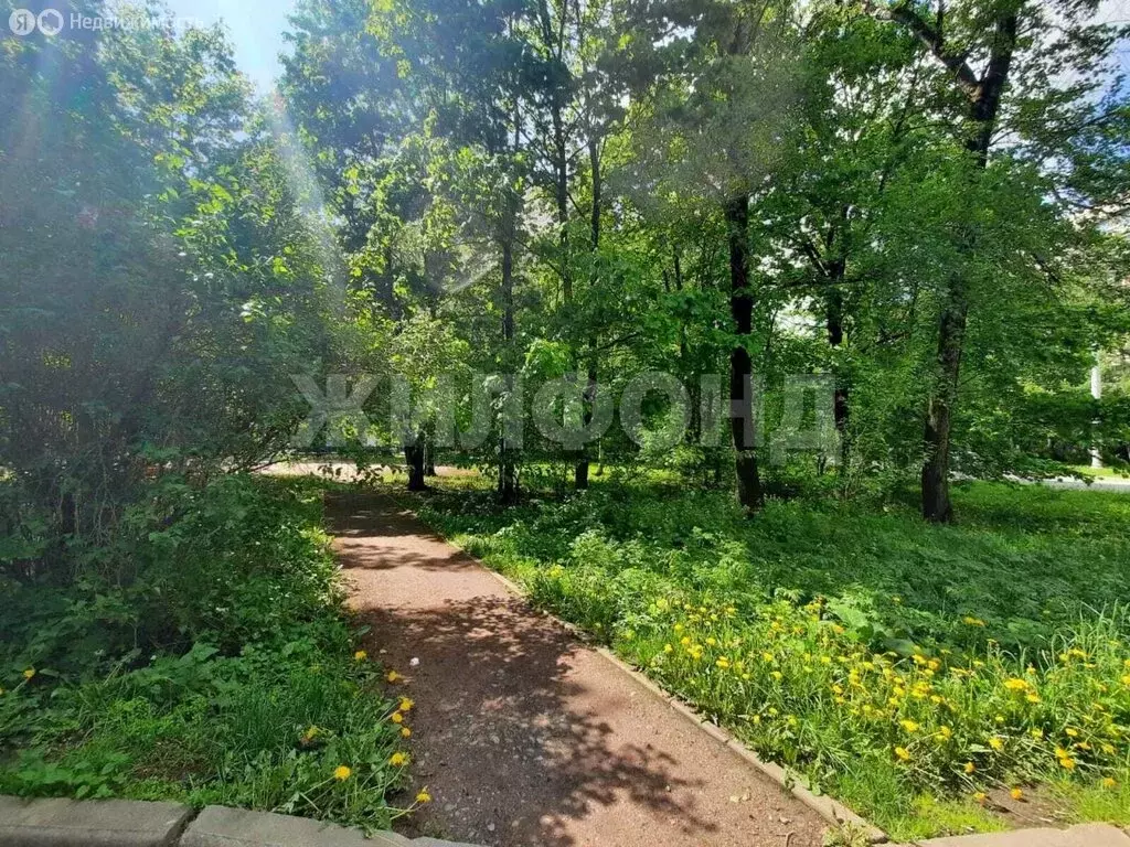 1-комнатная квартира: Санкт-Петербург, проспект Тореза, 36к2 (33 м) - Фото 0