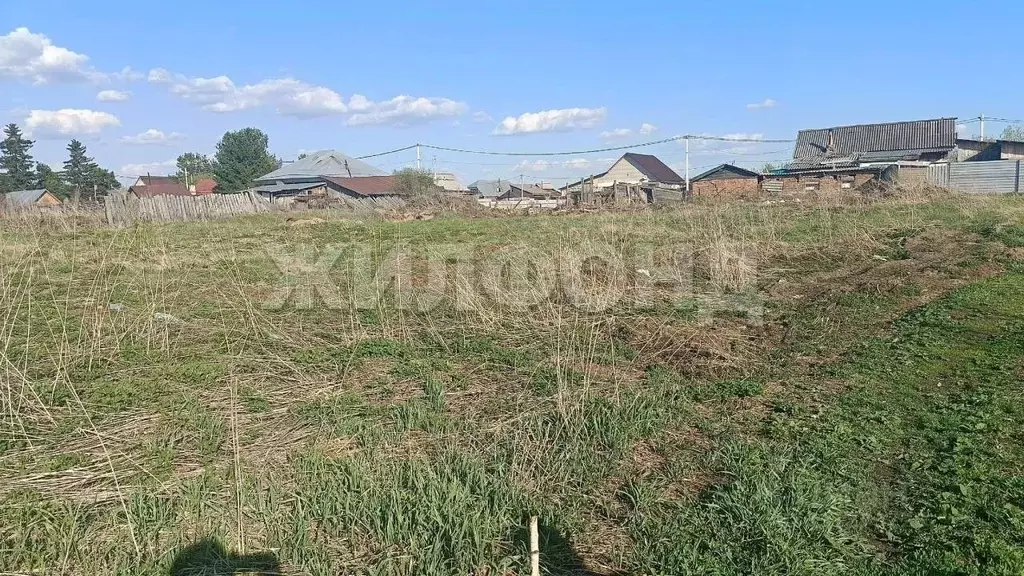 Участок в Новосибирская область, Колыванский район, д. Большой Оеш ул. ... - Фото 1