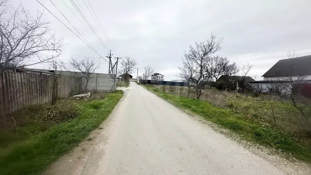 Участок в Крым, Черноморский район, с. Новосельское, Дружба СНТ ул. ... - Фото 2