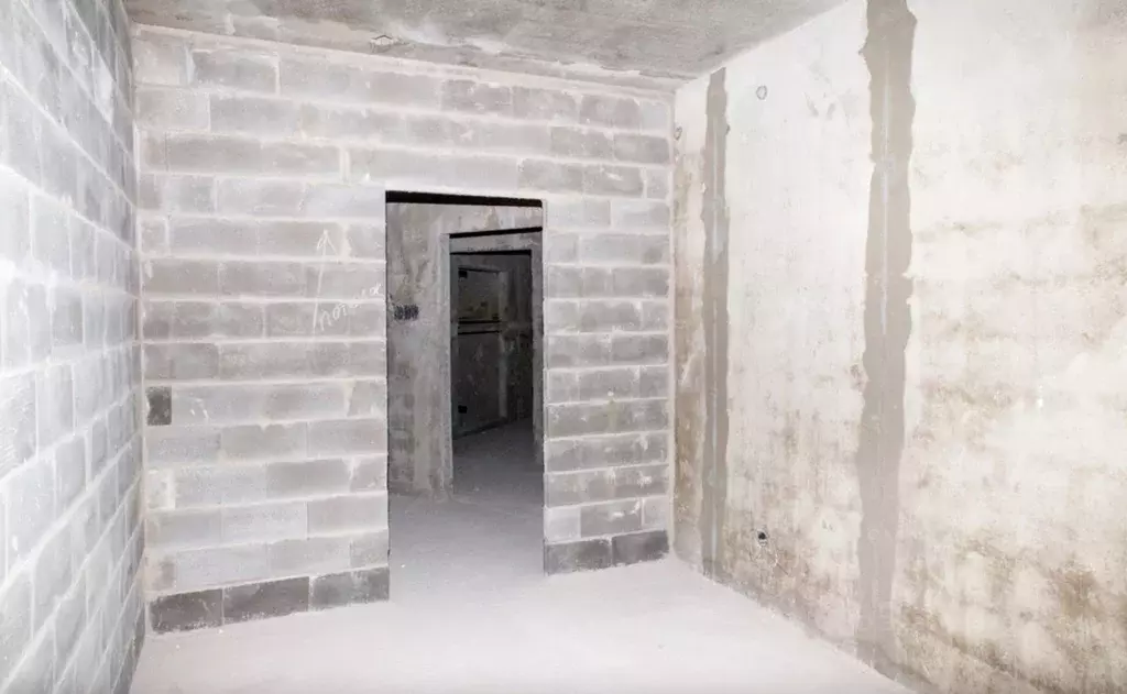 2-к кв. Санкт-Петербург просп. Маршала Блюхера, 3к3 (62.0 м) - Фото 2