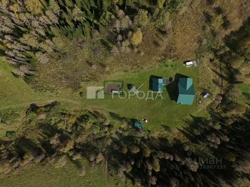 Дом в Алтайский край, Чарышский район, с. Тулата Центральная ул., 79А ... - Фото 1
