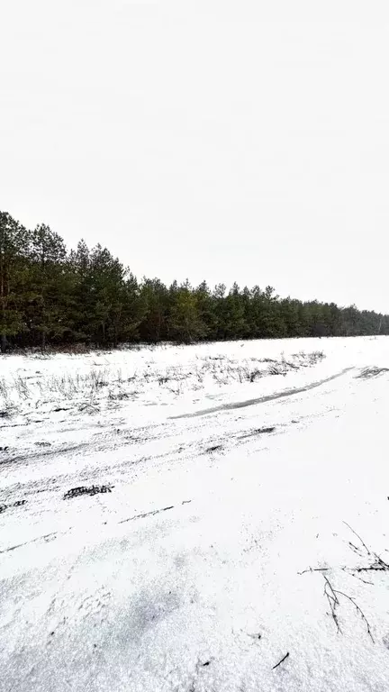 Участок в Саратовская область, пос. Рейник  (3.0 сот.) - Фото 0