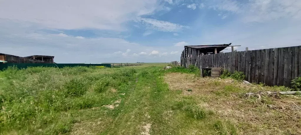 Участок в Иркутская область, Усольский район, Новомальтинское ... - Фото 1
