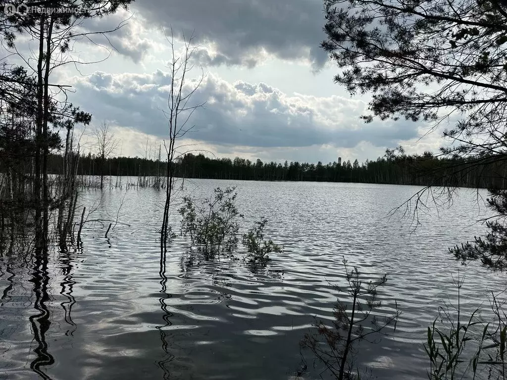 Дом в Электрогорск, садовое товарищество Татьяна, 4 (45.9 м) - Фото 0