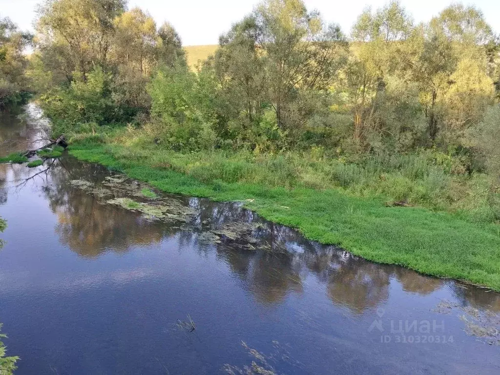 Участок в Орловская область, Орловский район, д. Медведево ул. ... - Фото 1